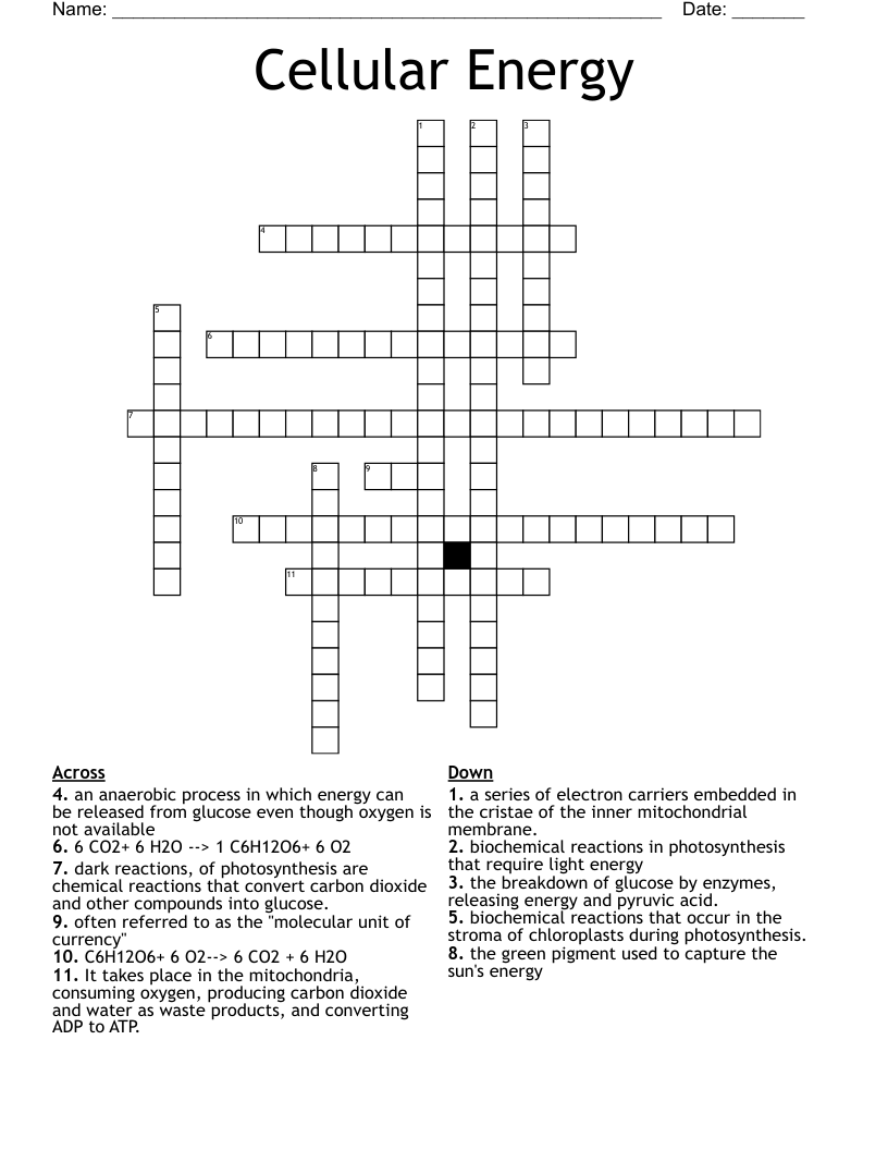 Cellular Energy Crossword