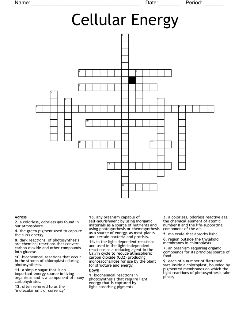 Cellular Energy Crossword