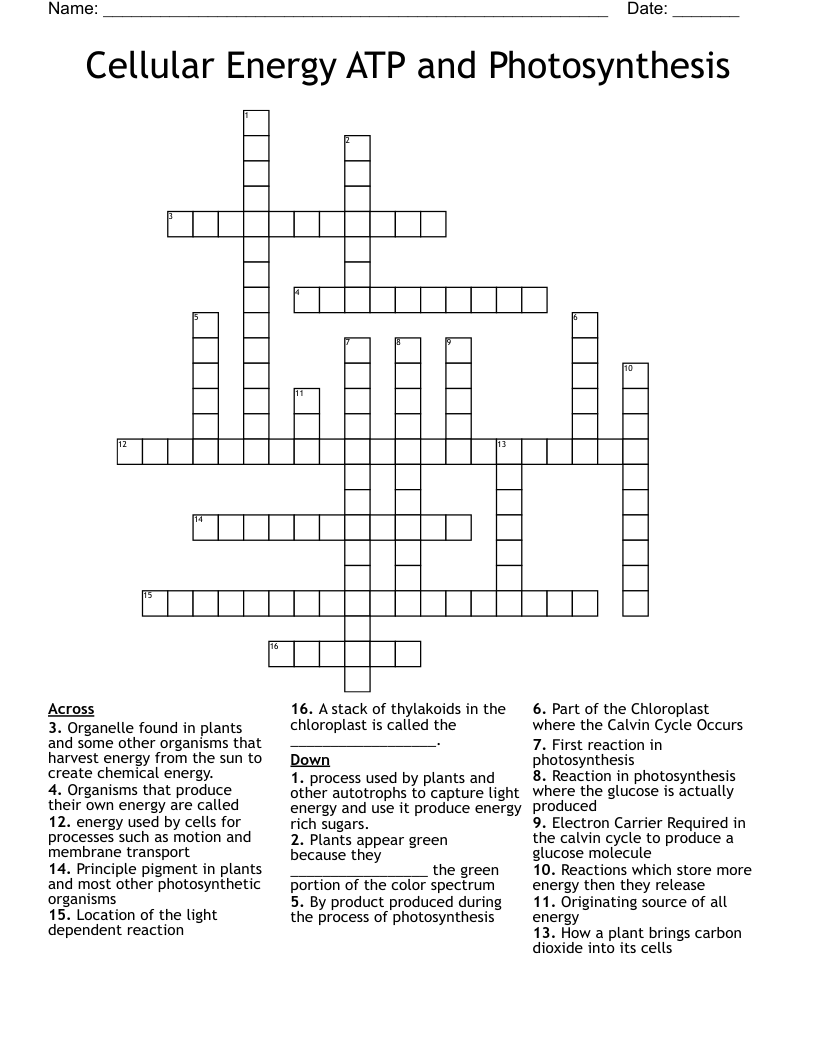 Cellular Energy ATP and Photosynthesis Crossword