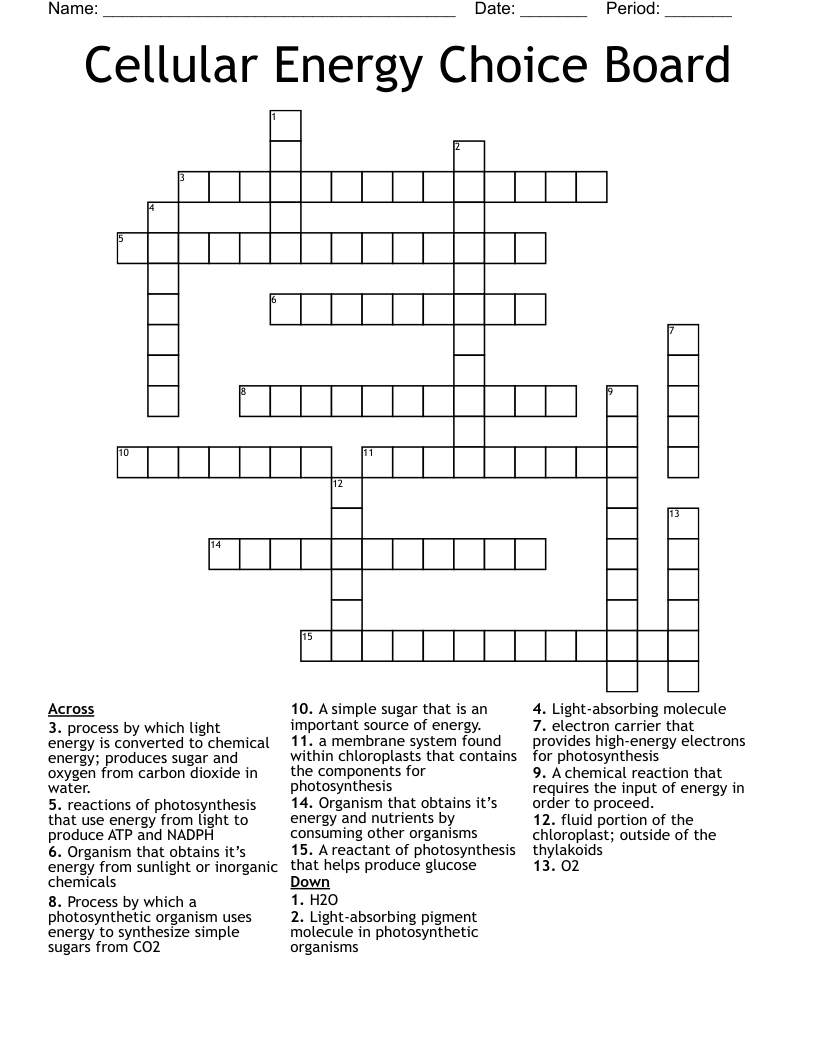 Cellular Energy Choice Board Crossword