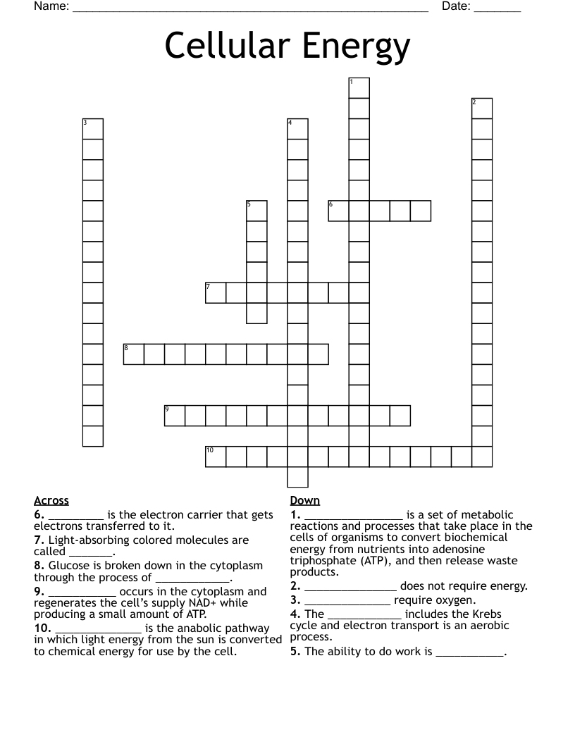 Cellular Energy  Crossword