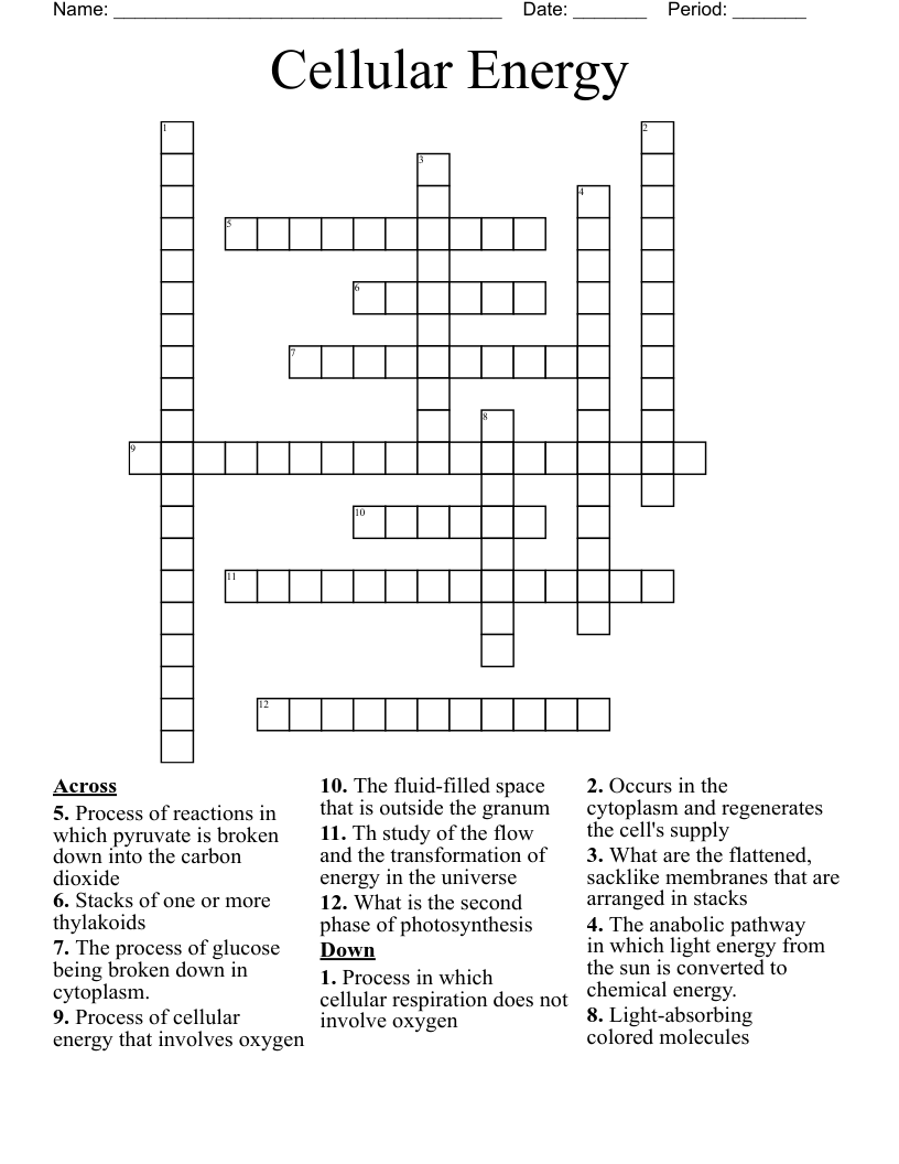 Cellular Energy  Crossword
