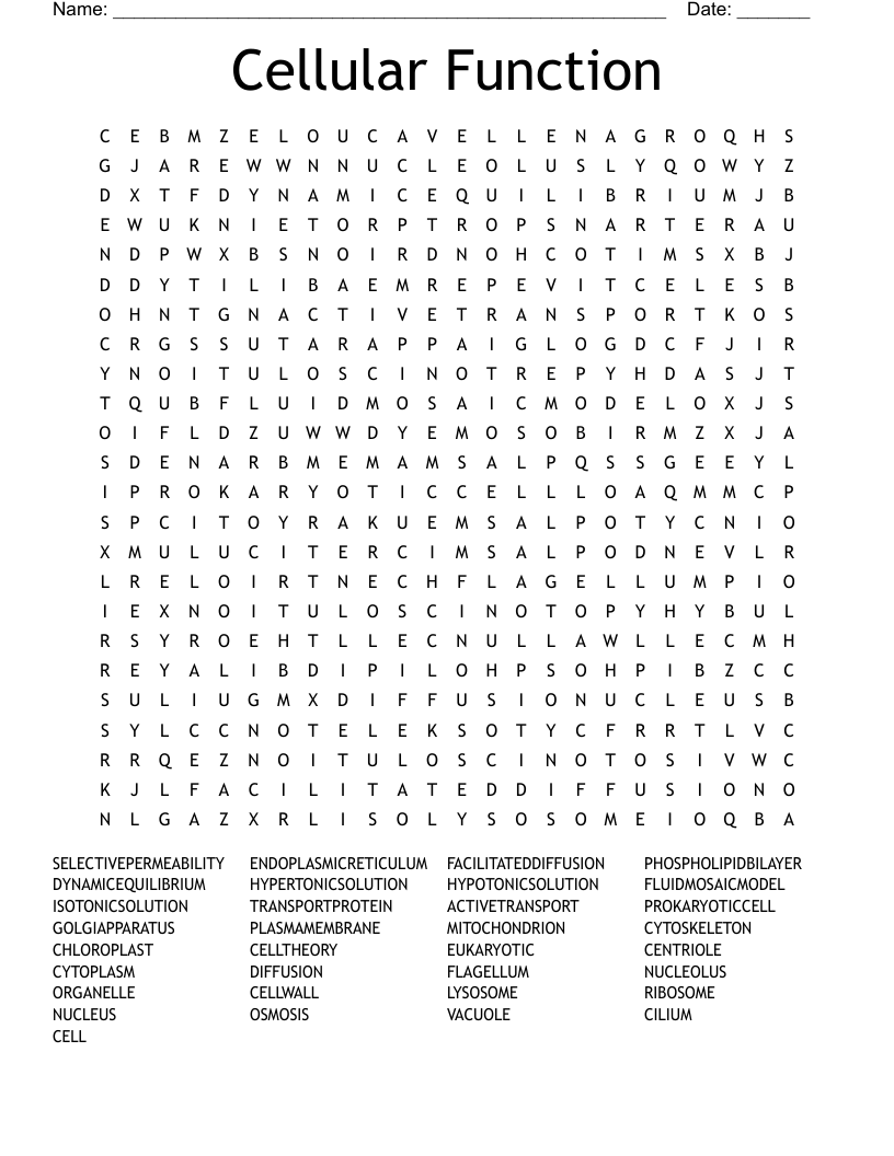 Cellular Function Word Search