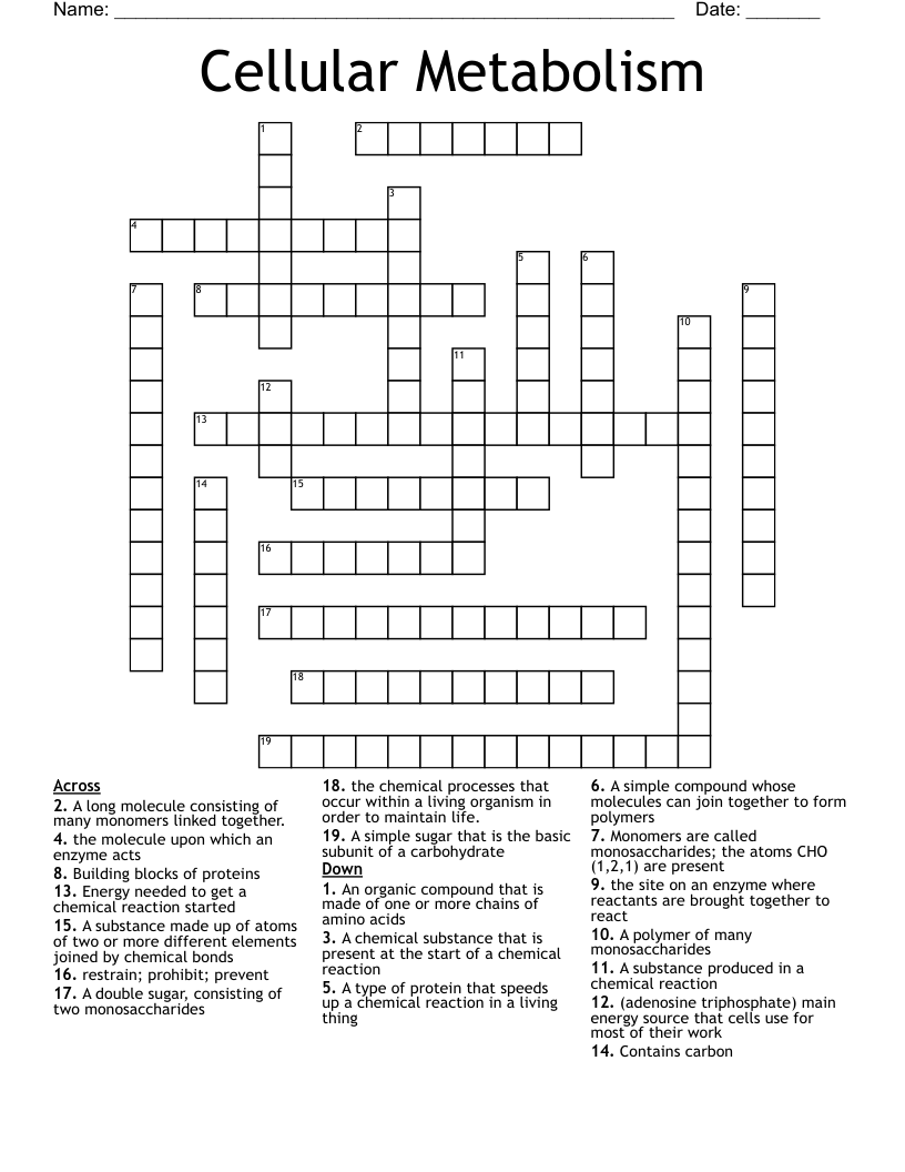 Cellular Metabolism Crossword