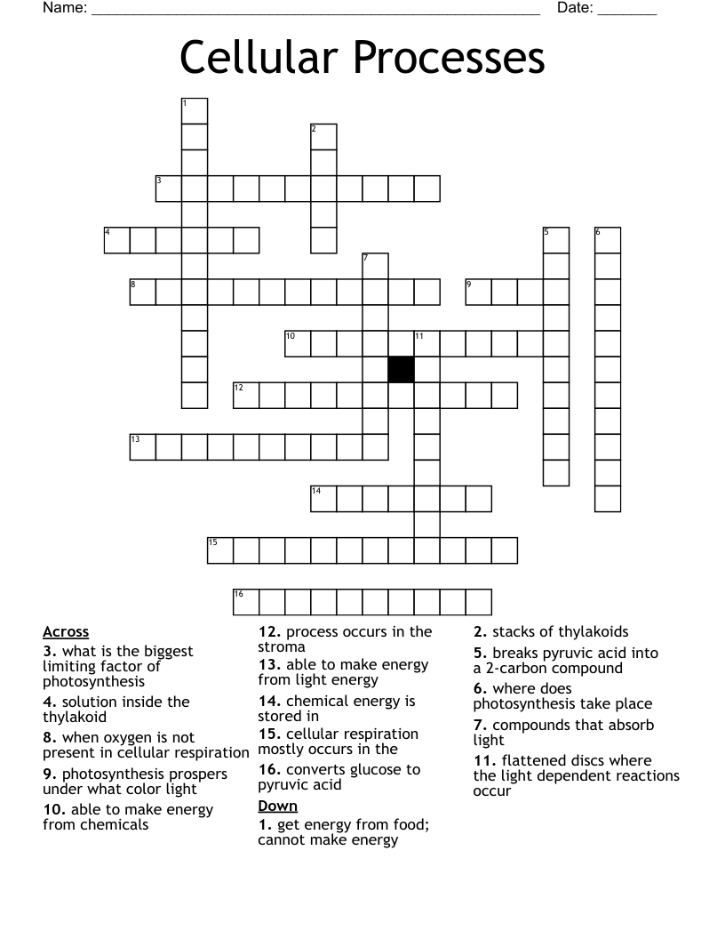 Cellular Processes Crossword