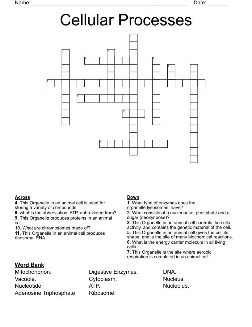 Cellular Processes Crossword