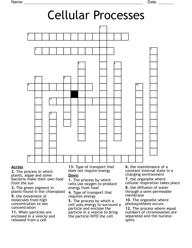 Cellular Processes Crossword