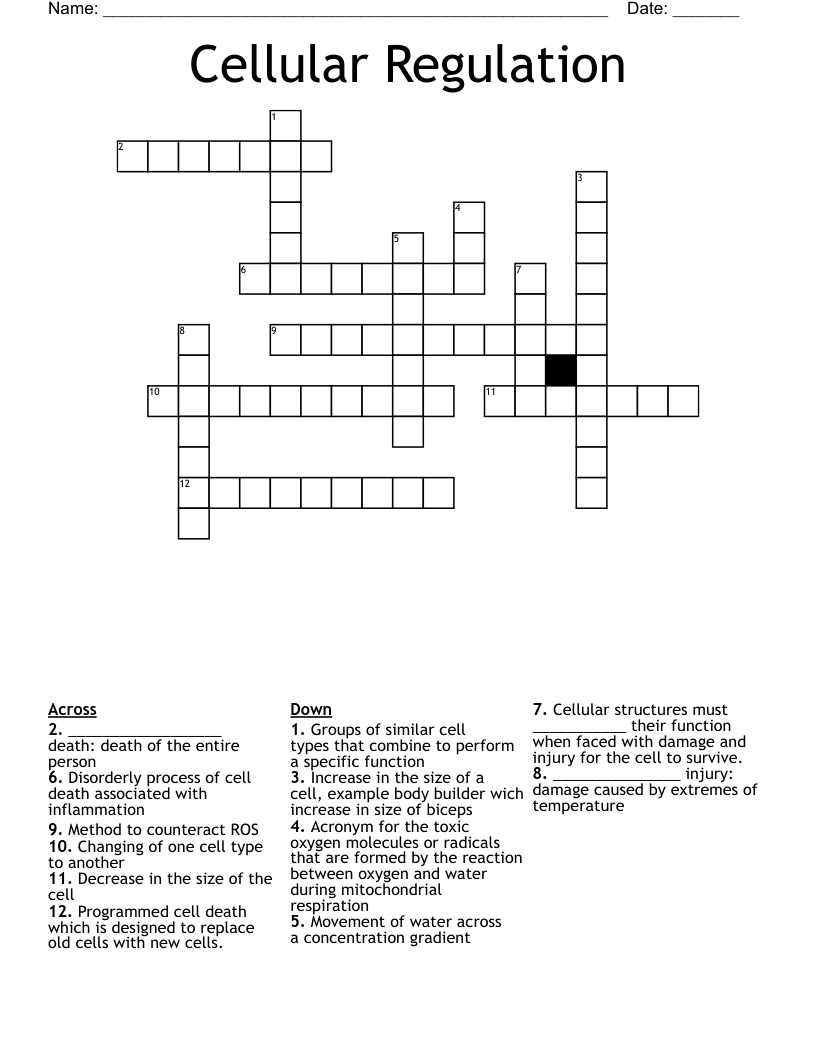 Cellular Regulation Crossword