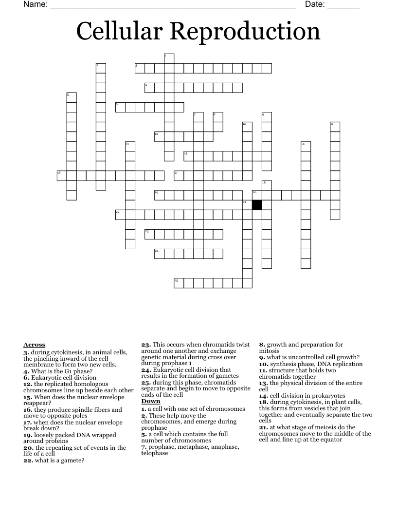 Cellular Reproduction Crossword