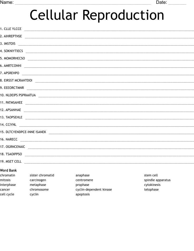 Cellular Reproduction Word Scramble