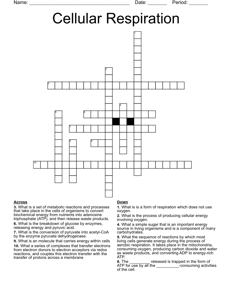Cellular Respiration Crossword