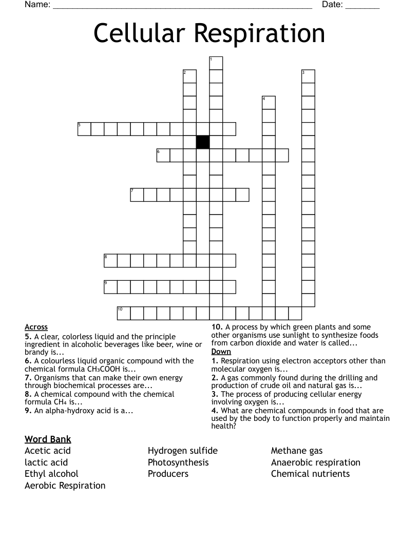 Cellular Respiration Crossword