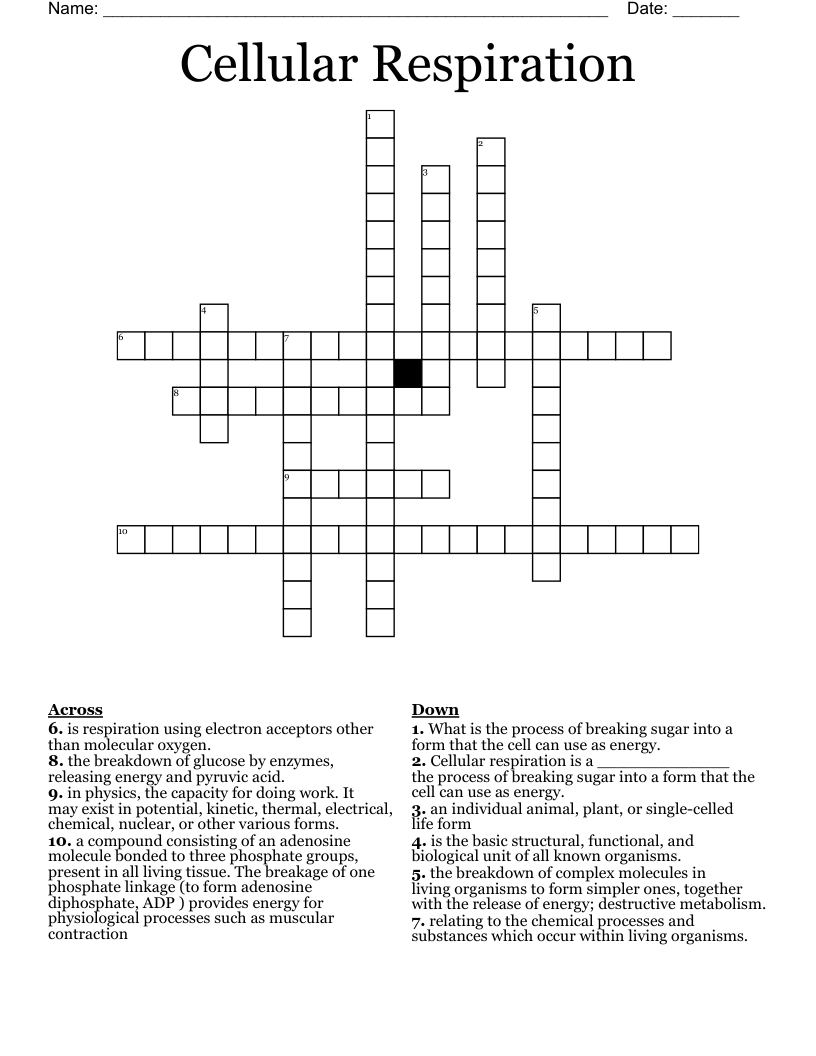 Cellular Respiration Crossword