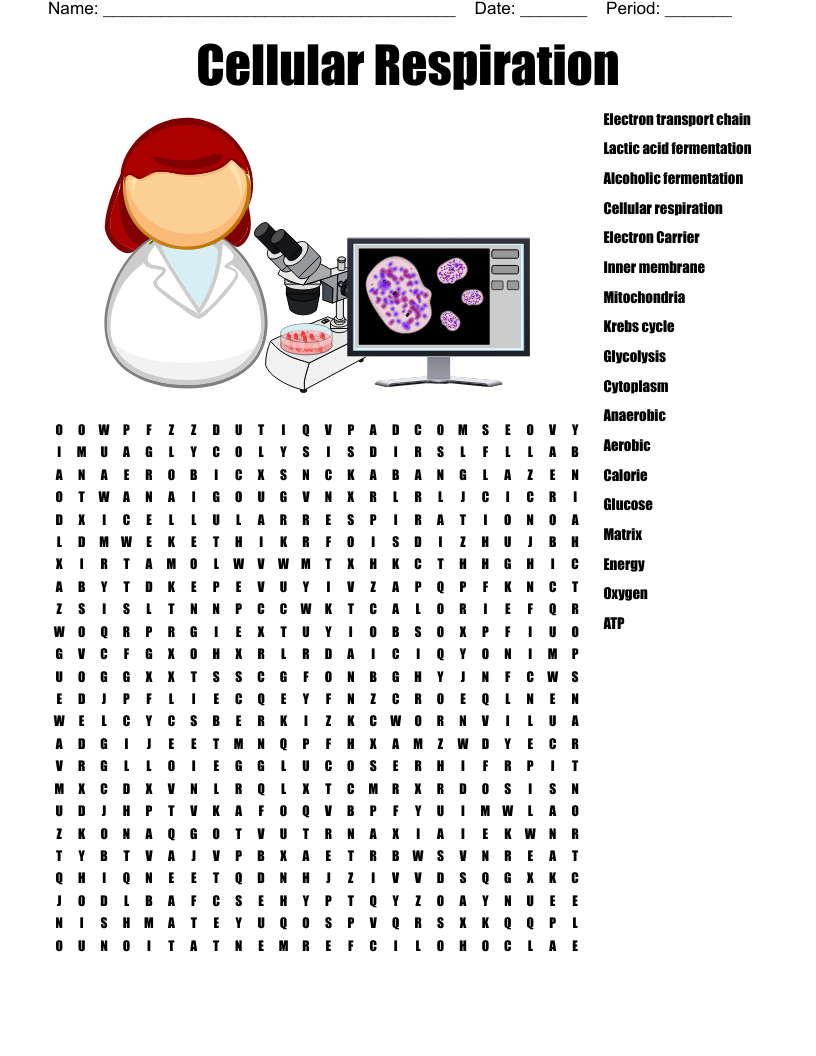 Cellular Respiration Word Search