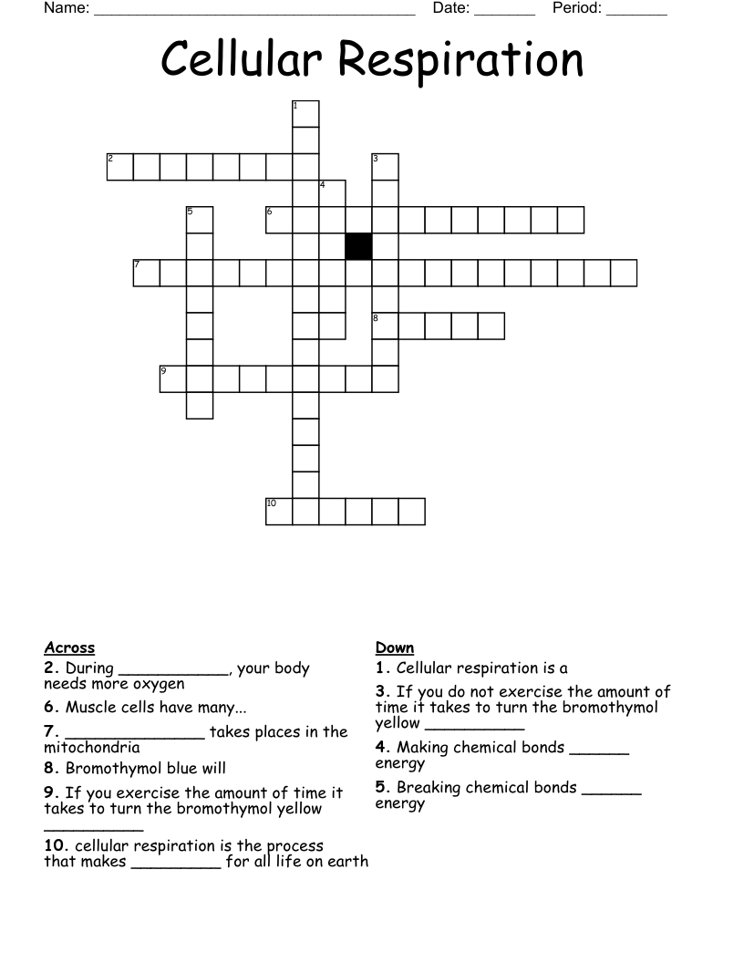 Cellular Respiration Crossword