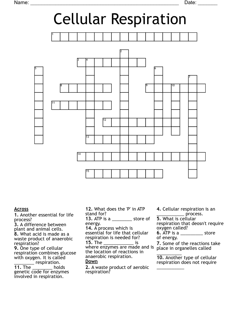 Cellular Respiration Crossword