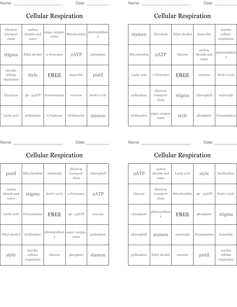 Cellular Respiration Bingo Cards