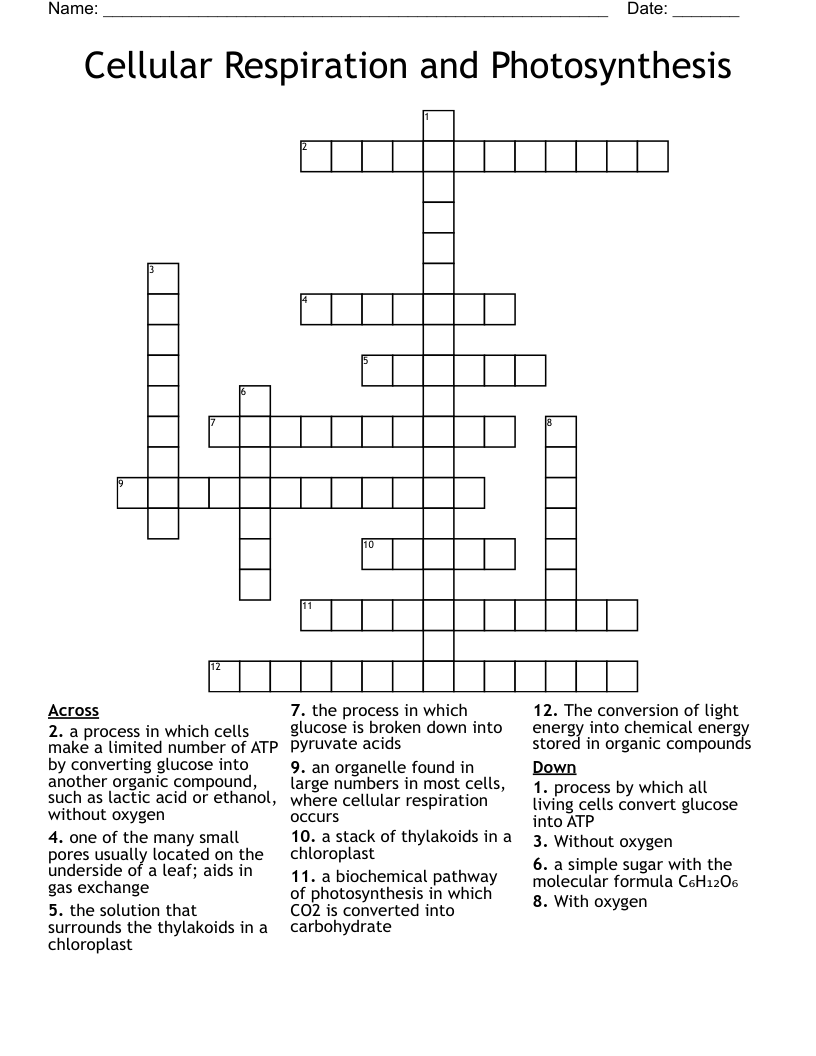 Cellular Respiration and Photosynthesis Crossword