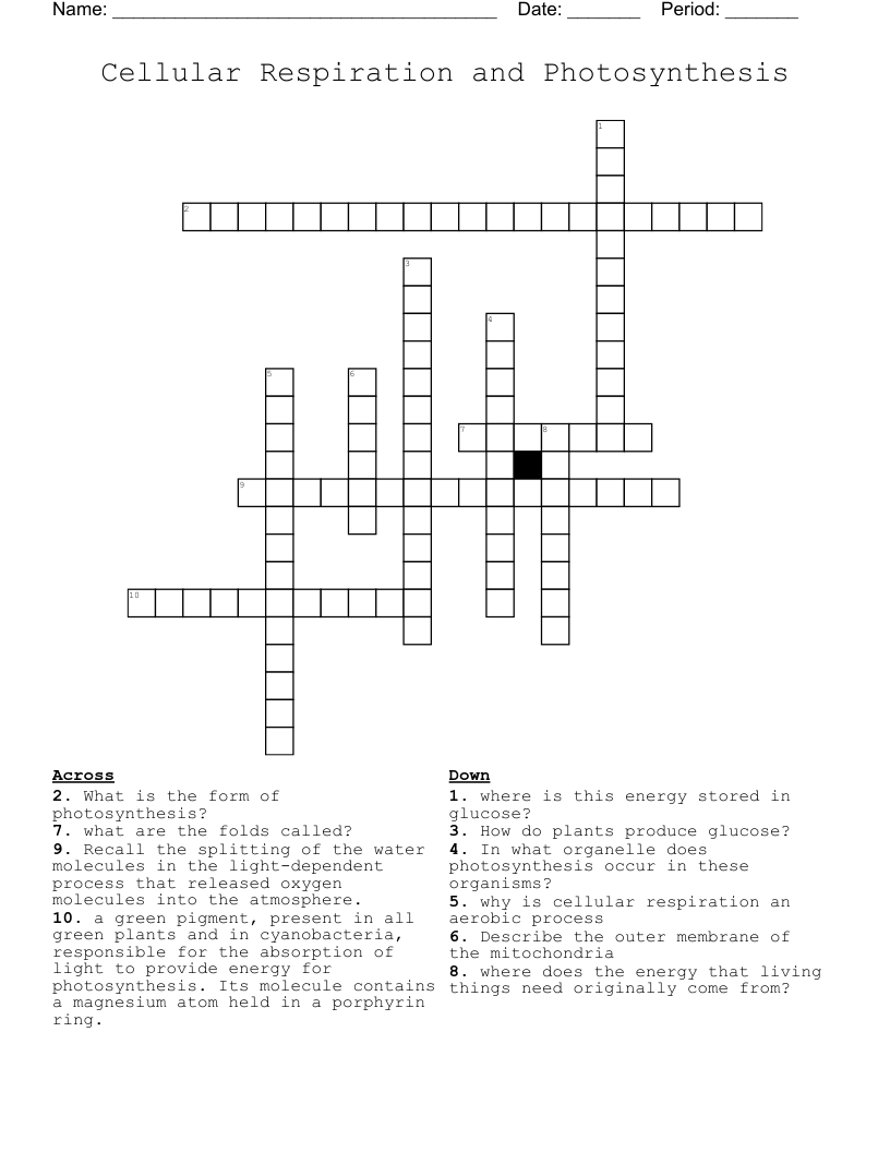Cellular Respiration and Photosynthesis  Crossword