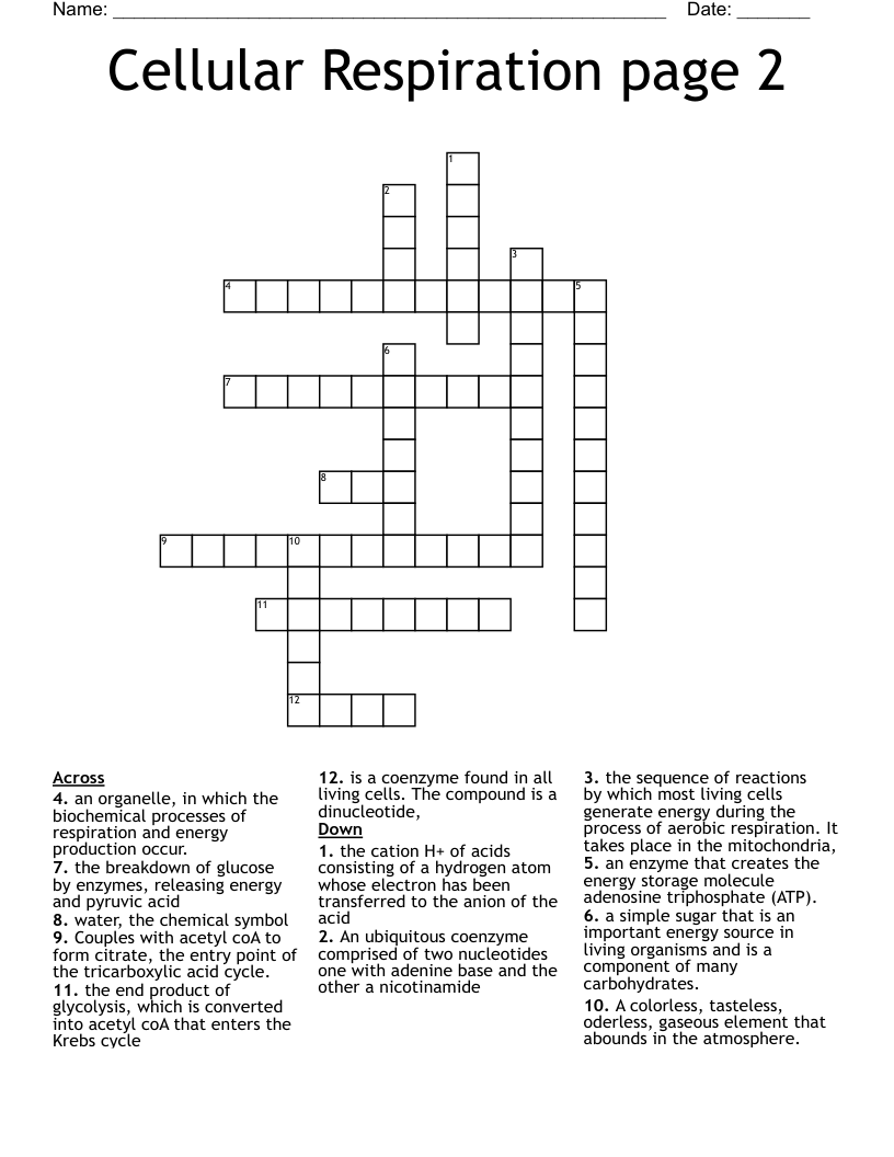 Cellular Respiration page 2 Crossword