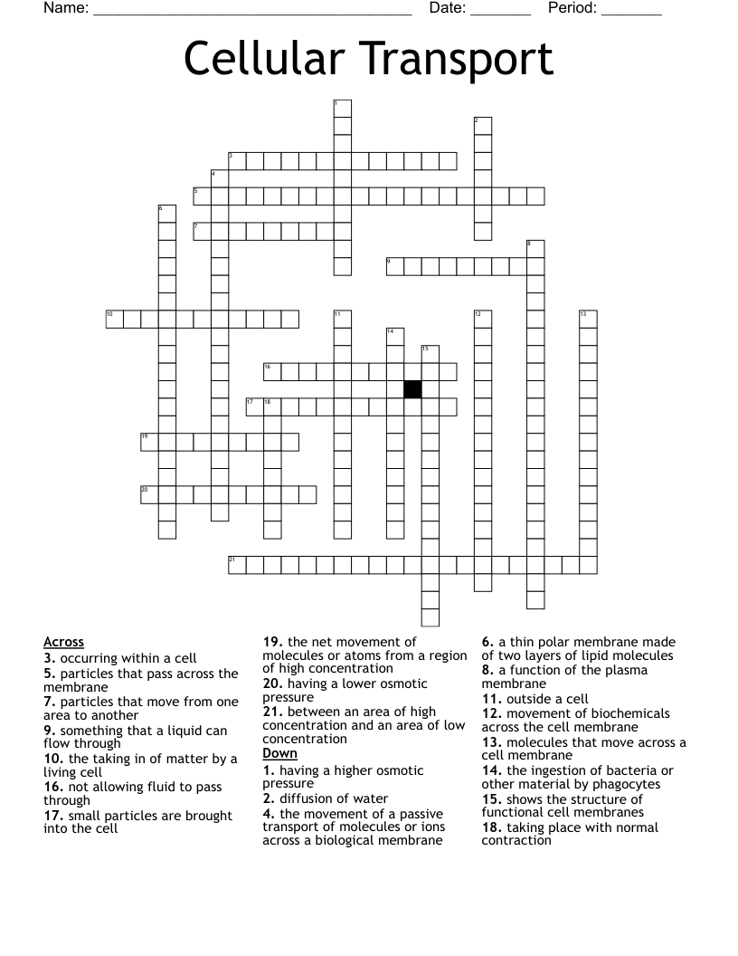 Cellular Transport Crossword