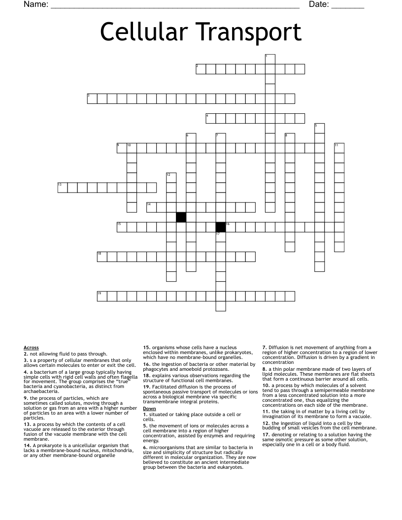 Cellular Transport Crossword