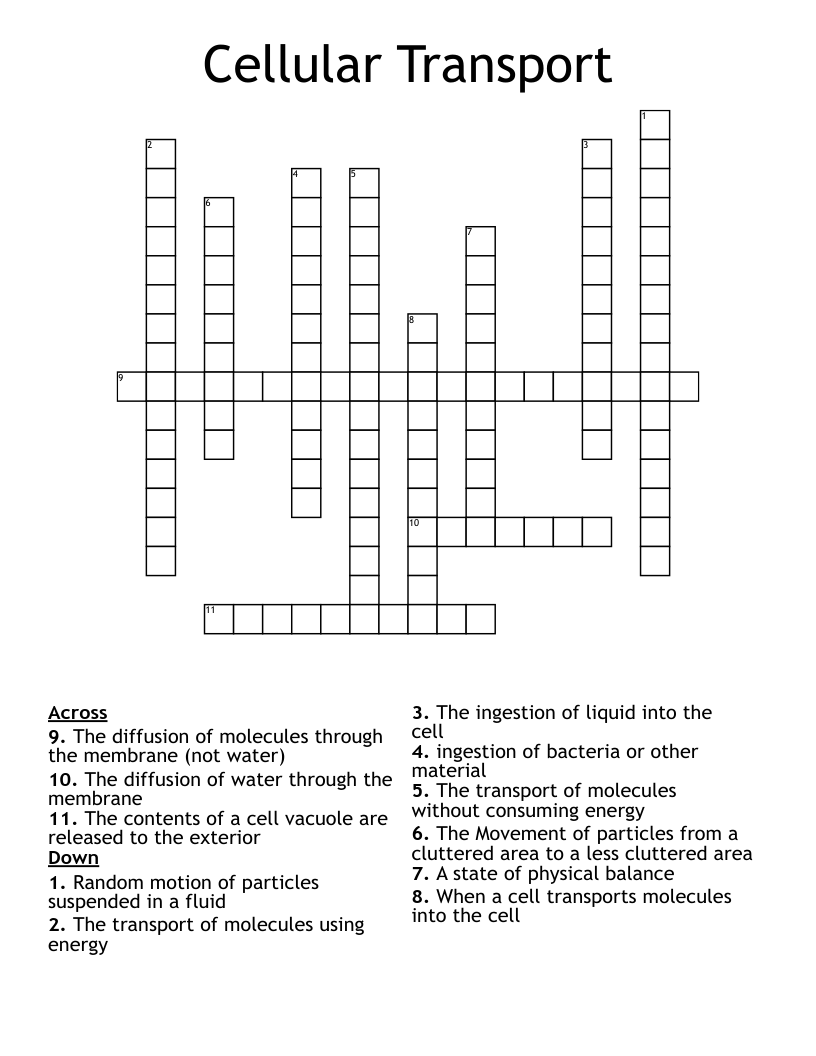 Cellular Transport Crossword