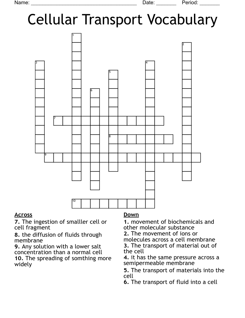 Cellular Transport Vocabulary  Crossword