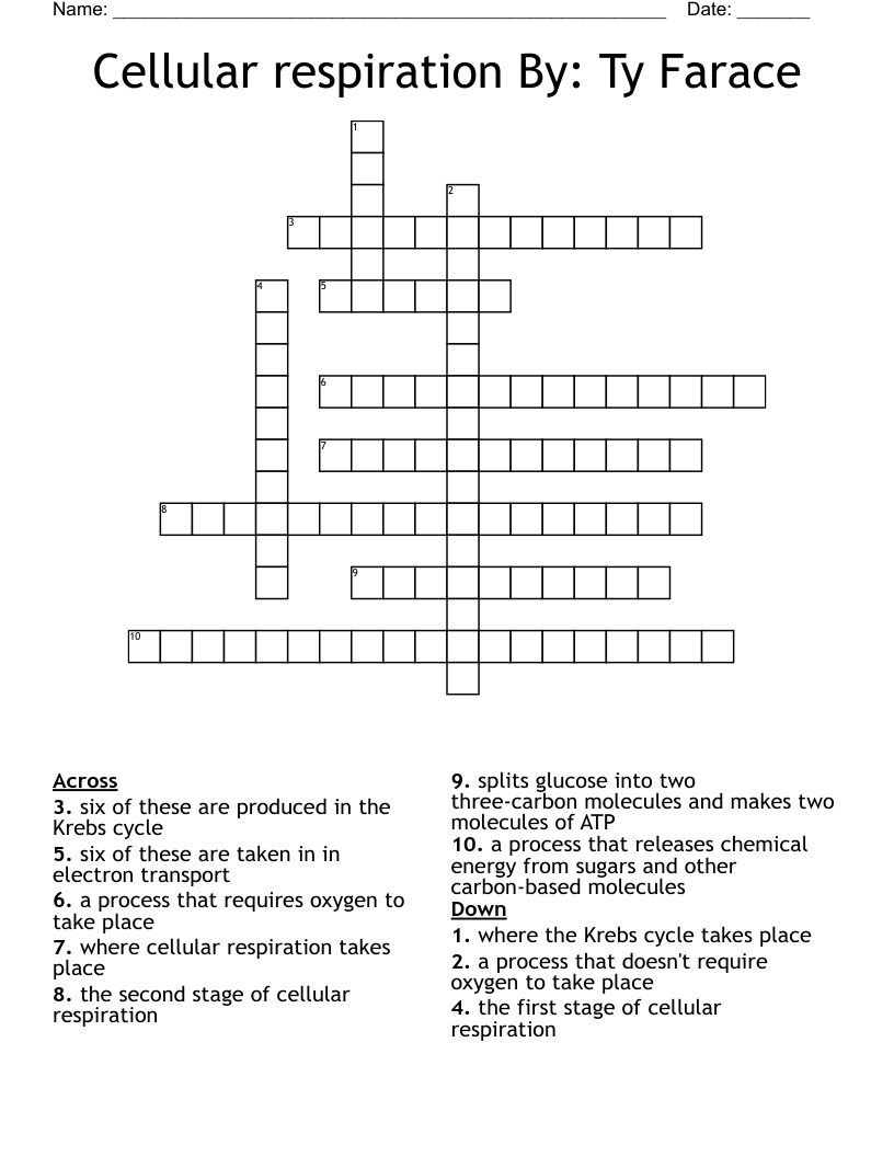 Cellular respiration By: Ty Farace Crossword