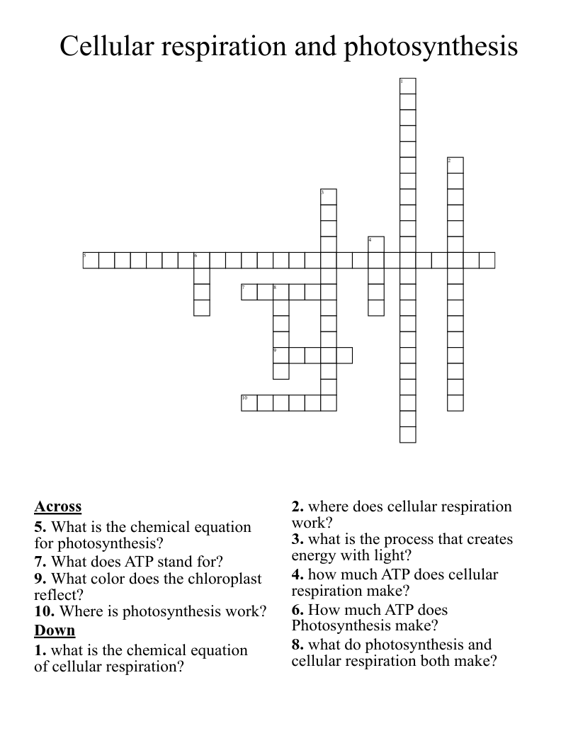 Cellular respiration and photosynthesis Crossword