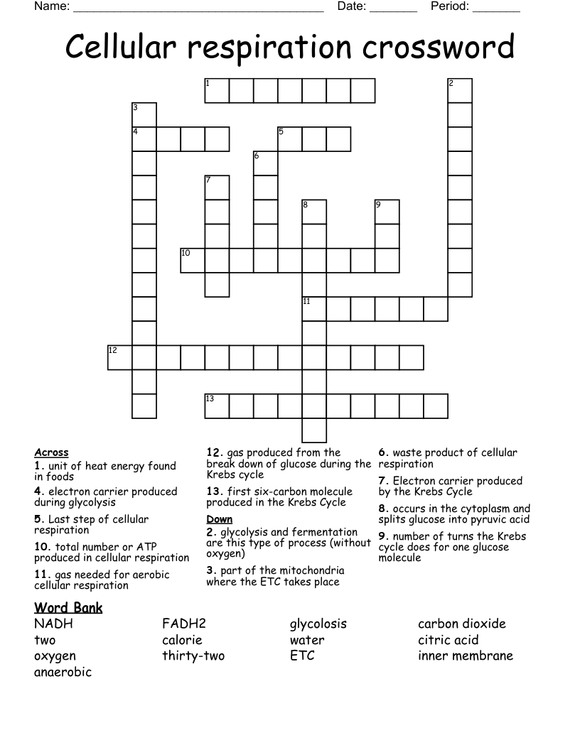 Cellular respiration crossword 