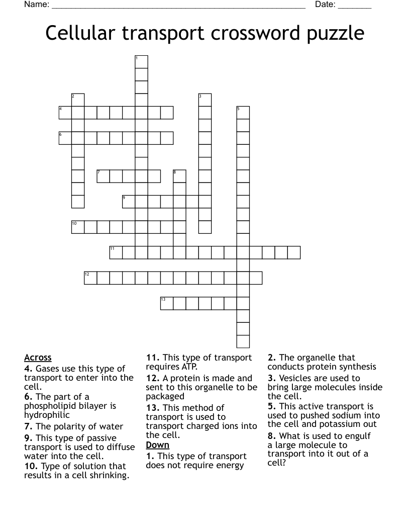 Cellular transport crossword puzzle 
