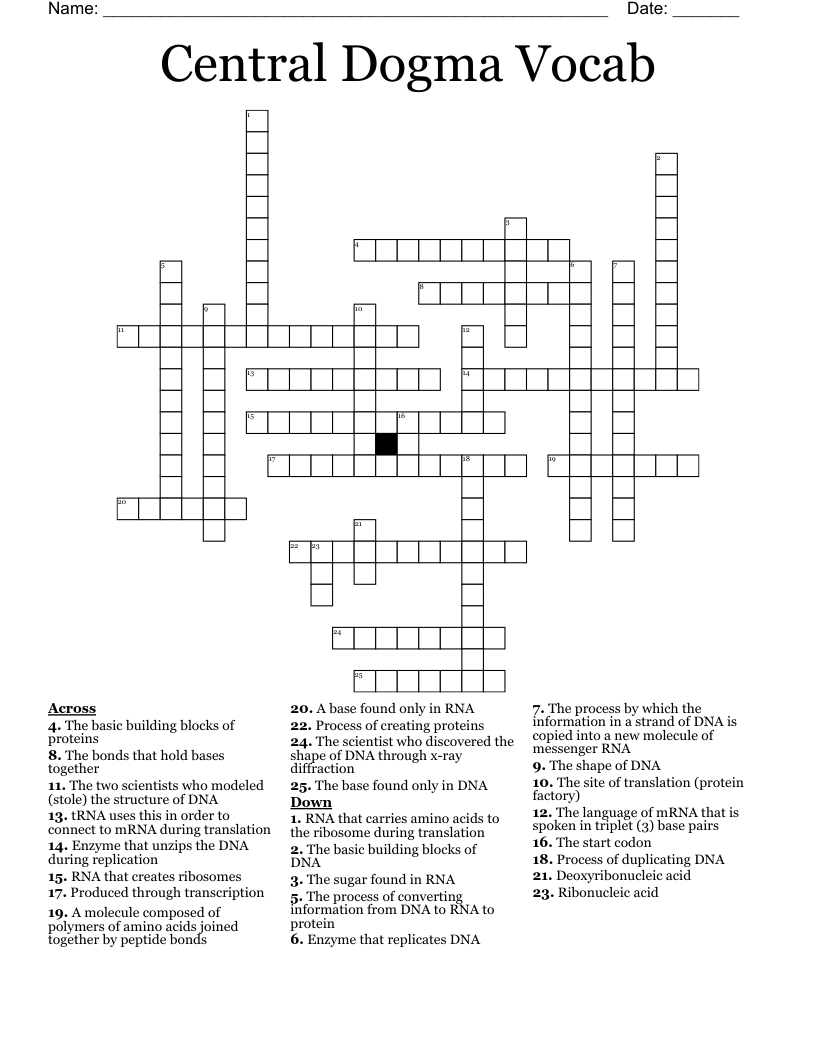 Central Dogma Vocab Crossword