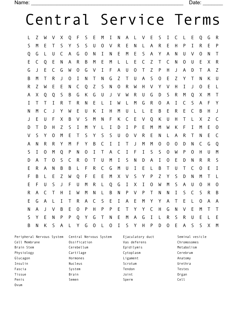 Central Service Terms Word Search