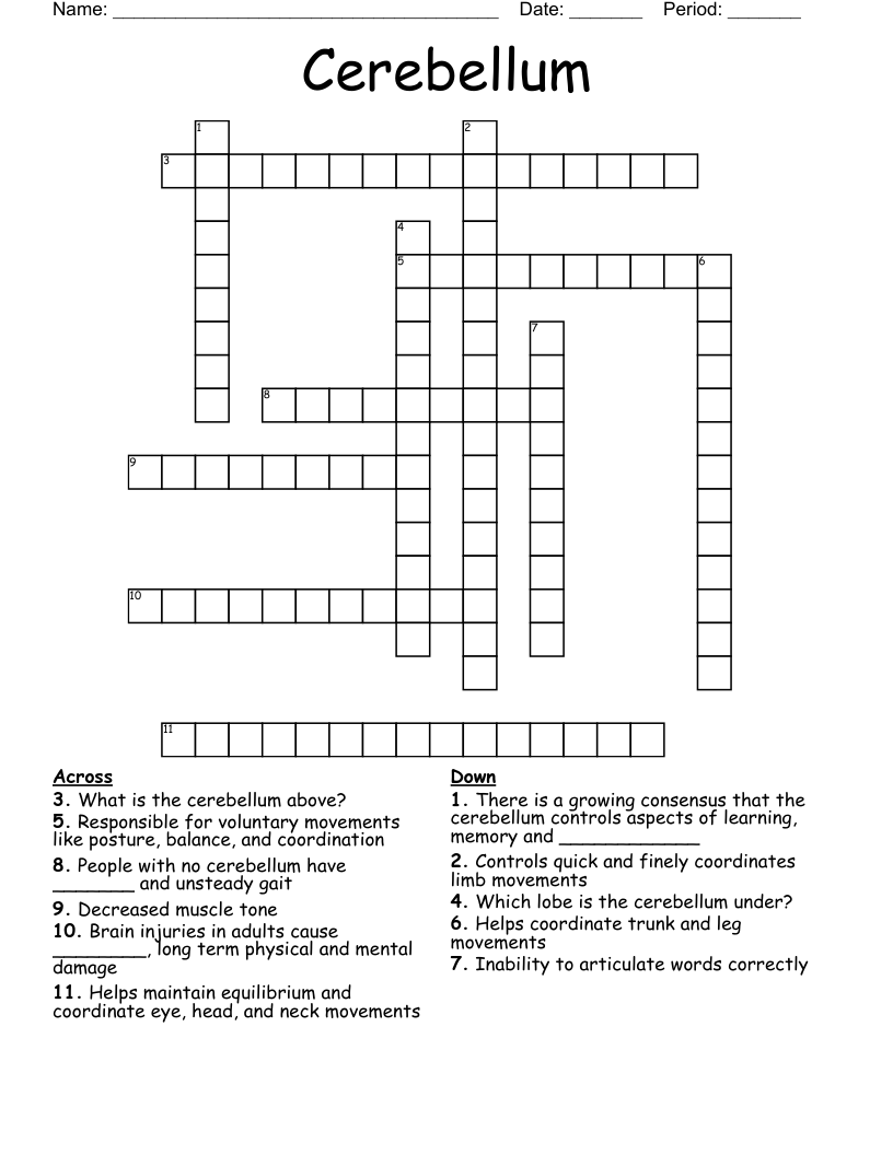 Cerebellum Crossword