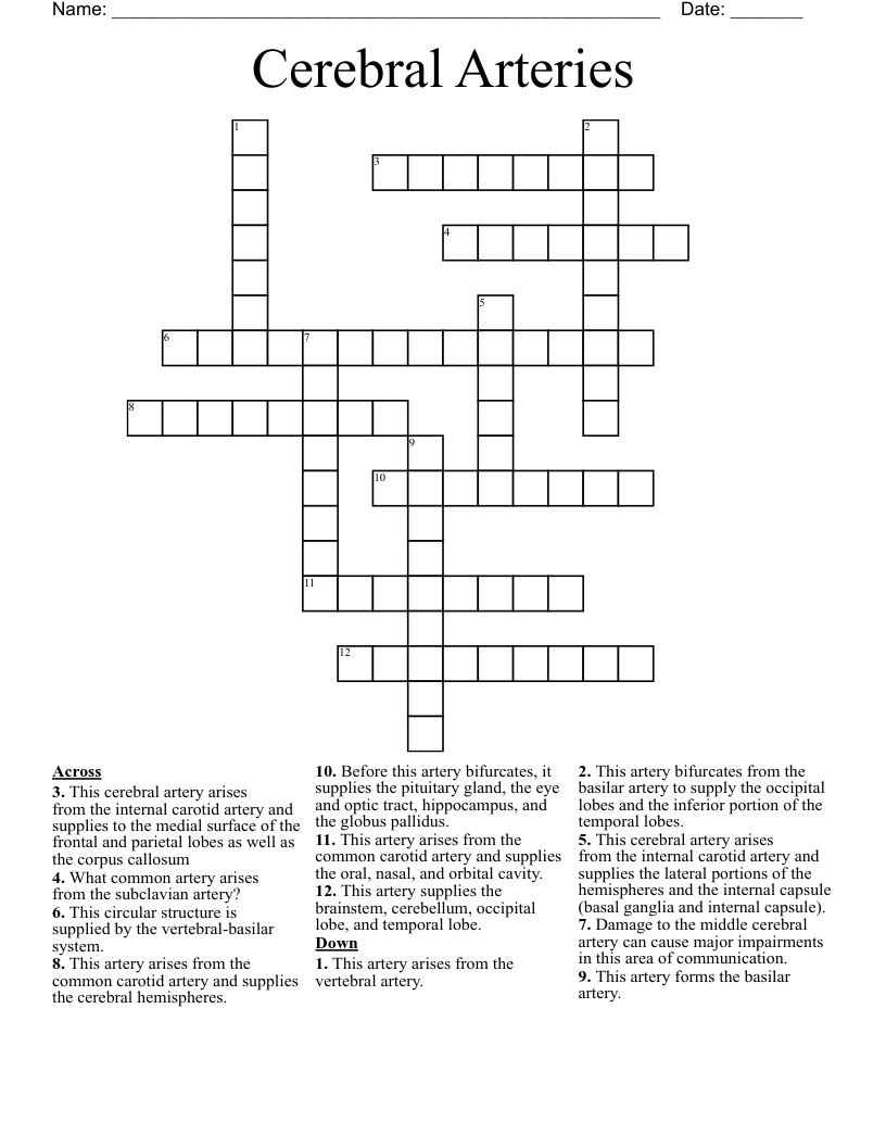 Cerebral Arteries Crossword