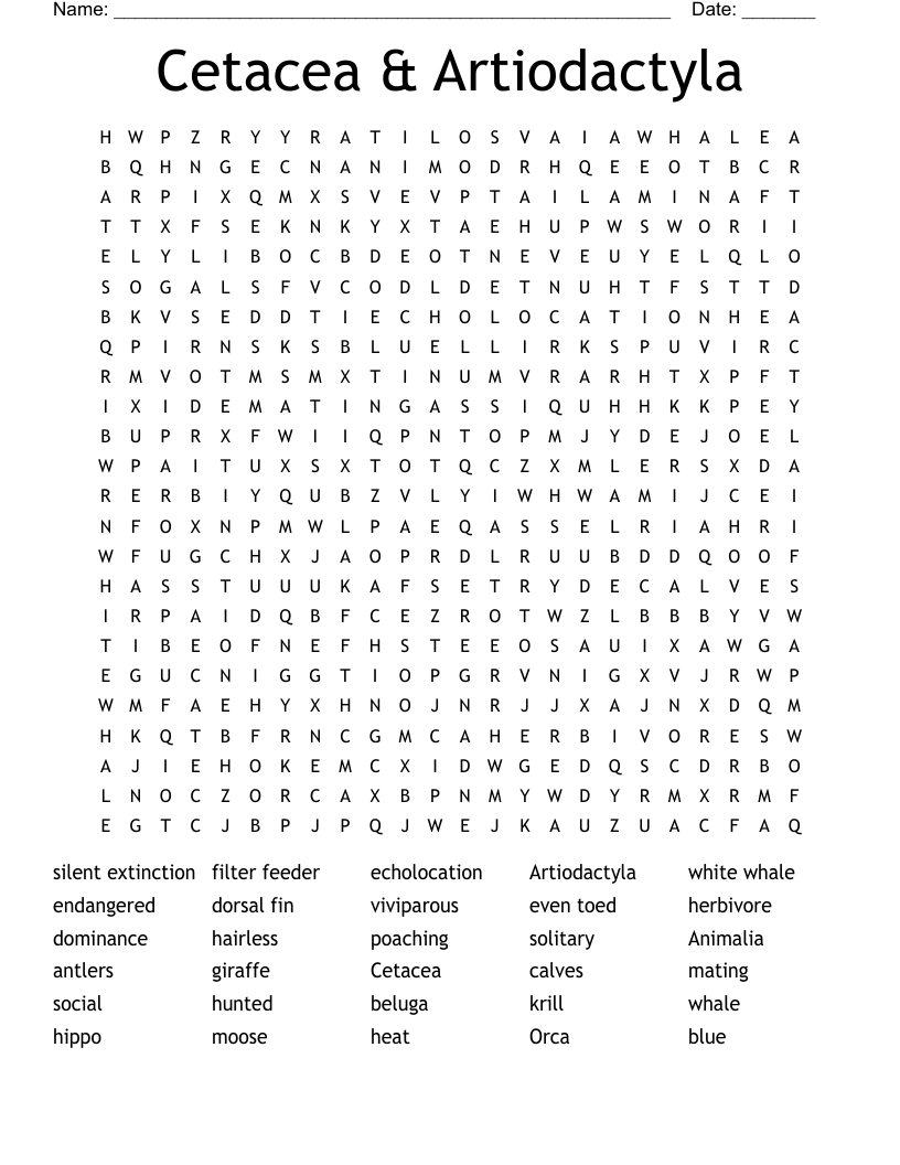 Cetacea & Artiodactyla Word Search