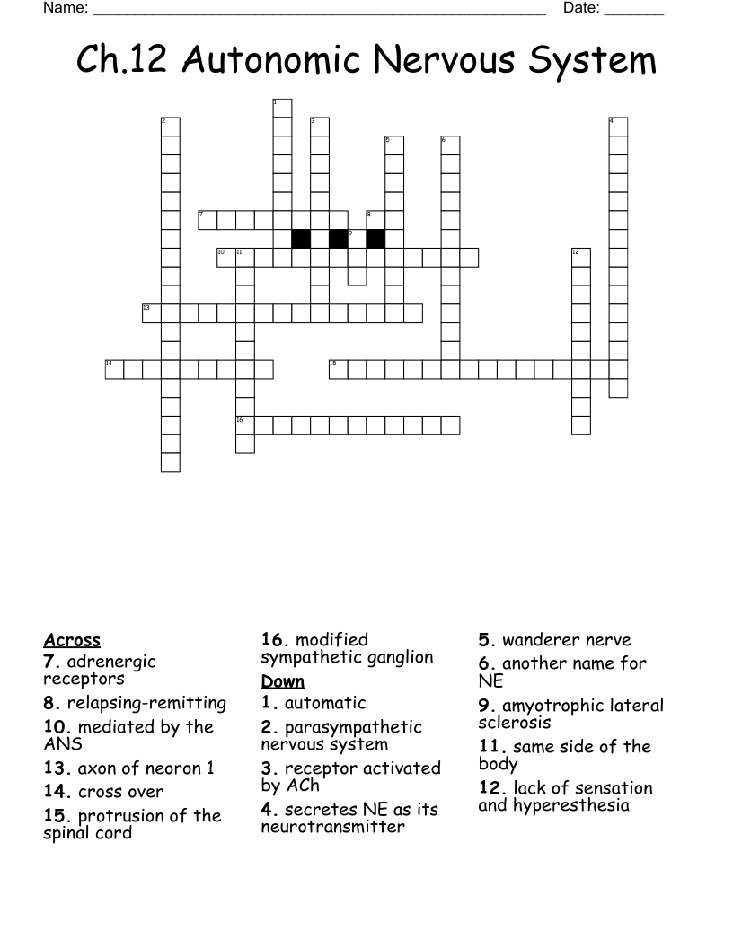 Ch.12 Autonomic Nervous System Crossword