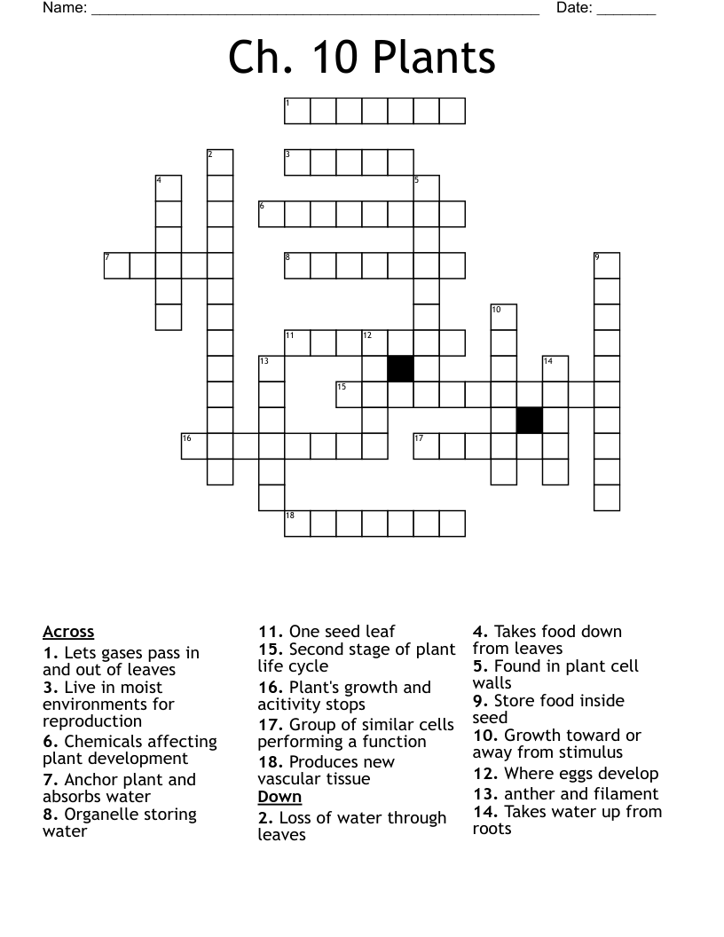 Ch. 10 Plants Crossword