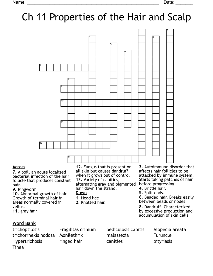 Ch 11 Properties of the Hair and Scalp Crossword