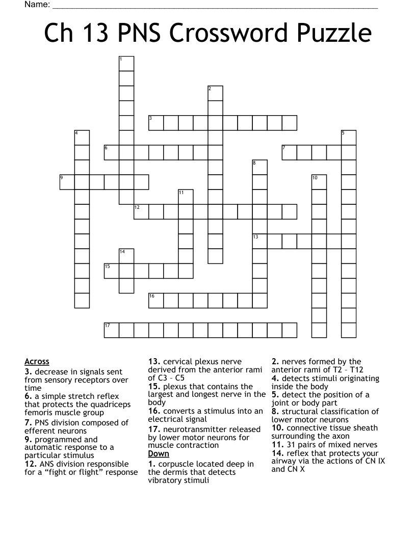 Ch 13 PNS Crossword Puzzle