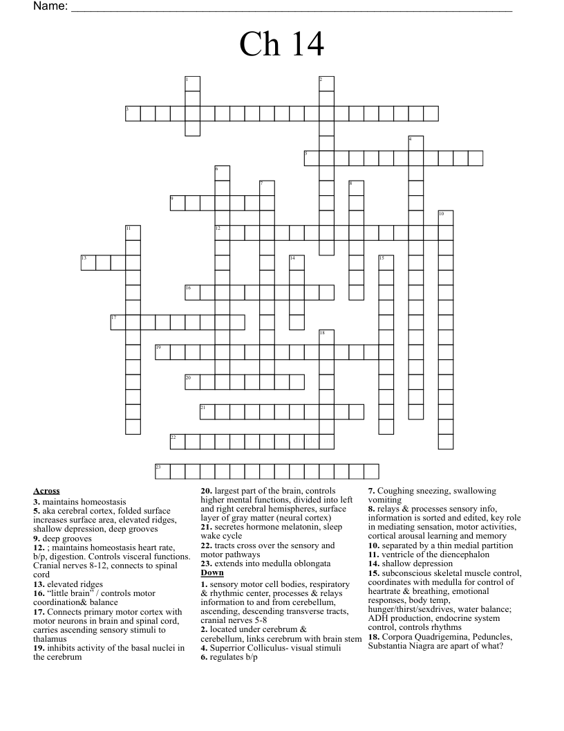 Ch 14 Crossword