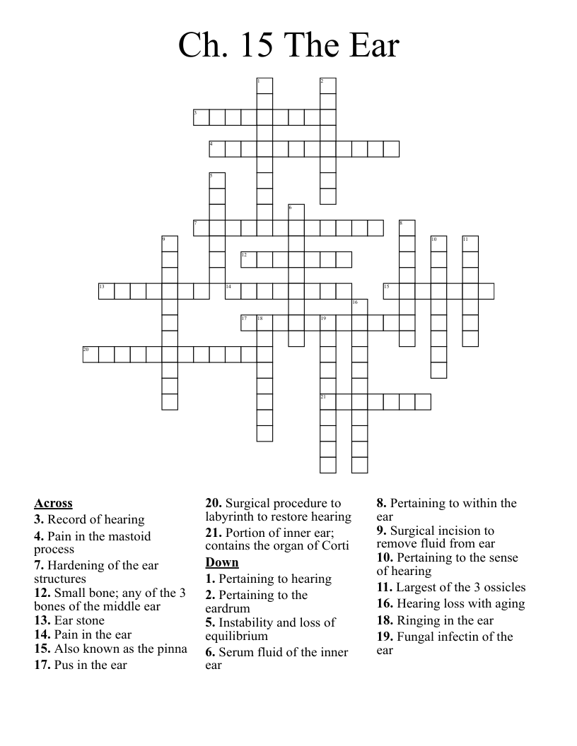 Ch. 15 The Ear Crossword