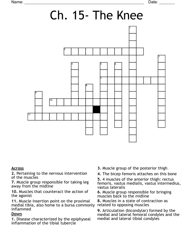 Ch. 15- The Knee Crossword