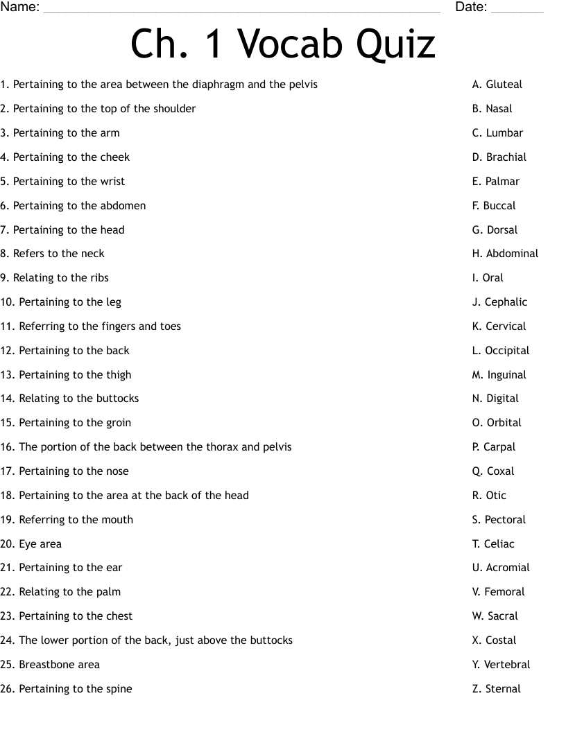 Ch. 1 Vocab Quiz Worksheet