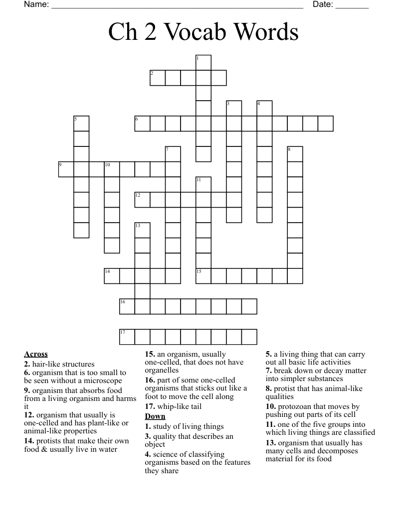 Ch 2 Vocab Words Crossword