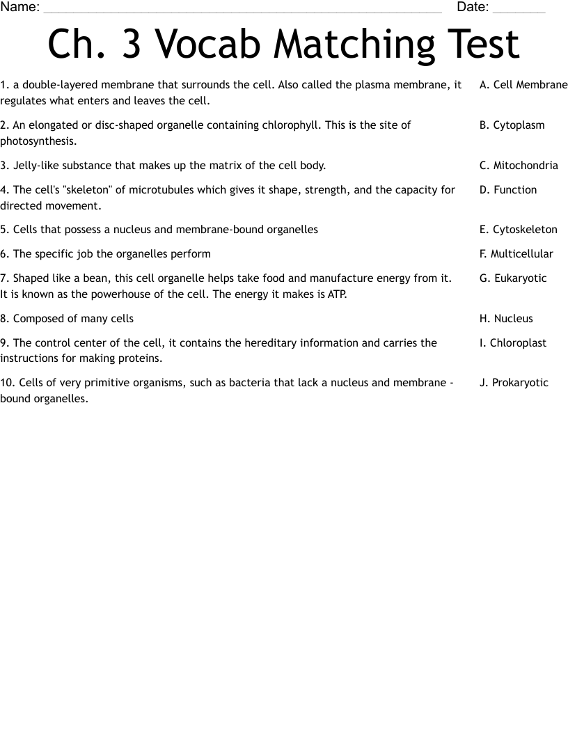 Ch. 3 Vocab Matching Test Worksheet
