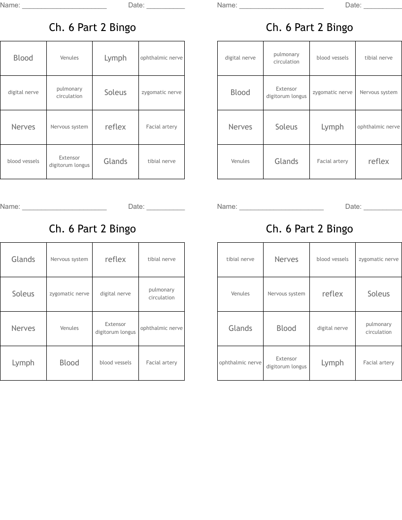 Ch. 6 Part 2 Bingo