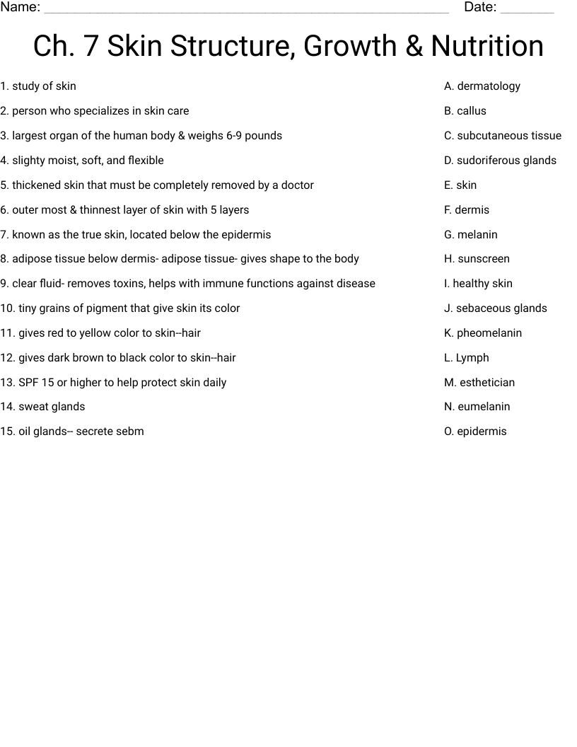 Ch. 7 Skin Structure, Growth & Nutrition  Worksheet