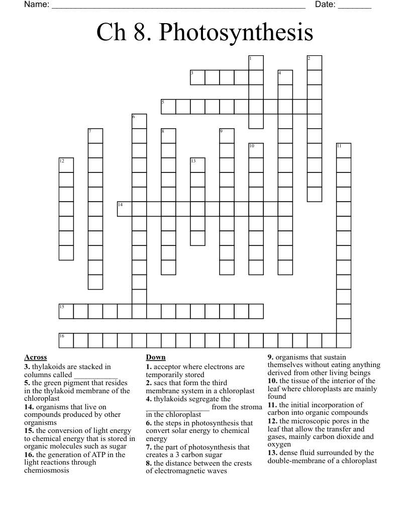Ch 8. Photosynthesis Crossword